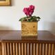 Hollywood regency burl and brass plant pot, Vivai del Sud Italy 1970s