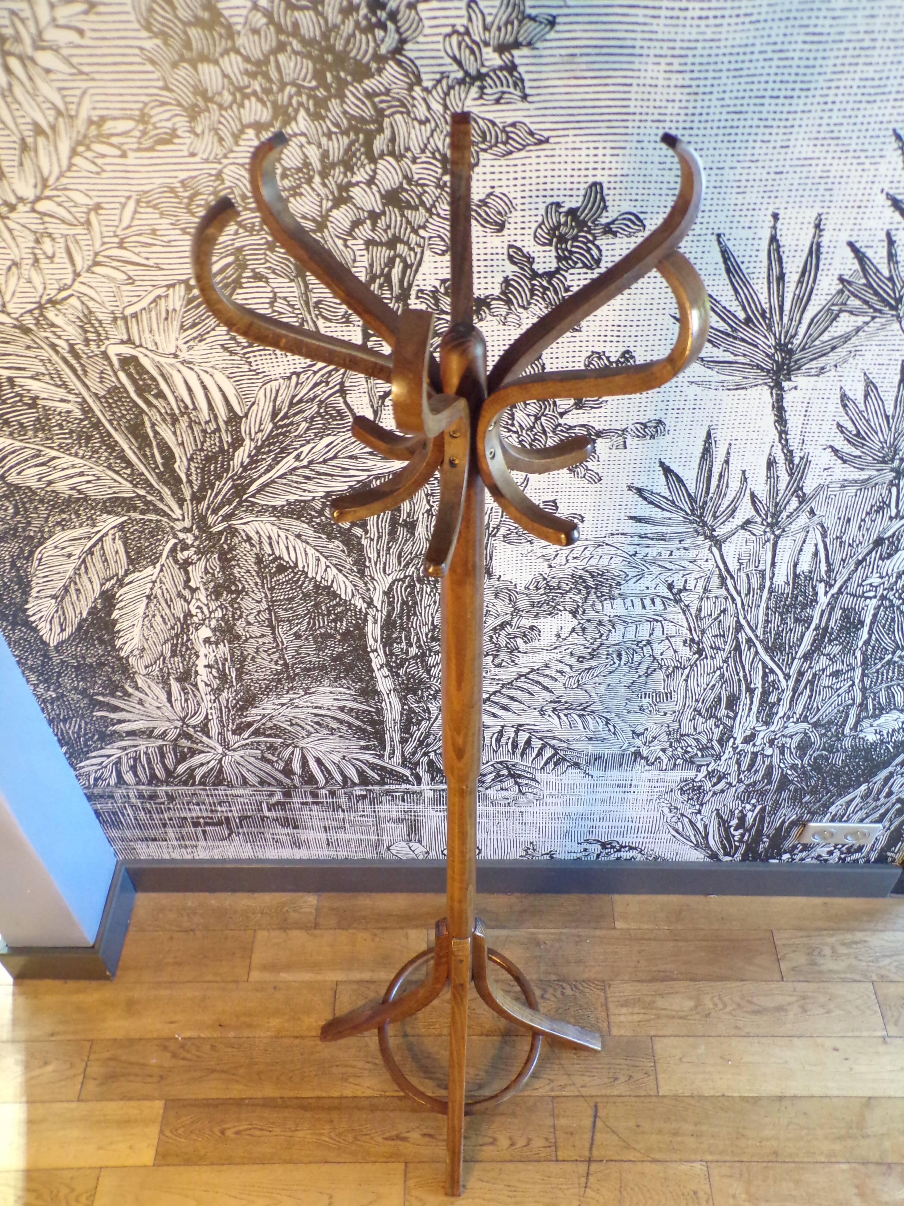 Baumann parrot coat rack in bent wood