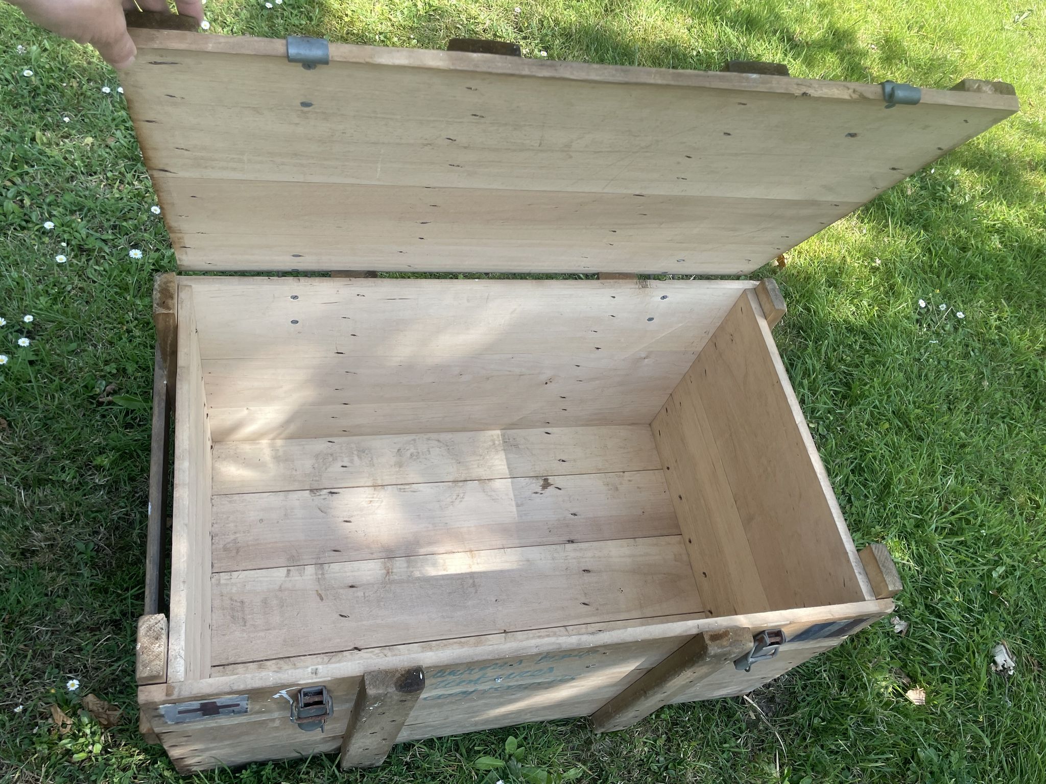 Trunk, natural wood box, very healthy
