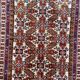 Tapis vintage chirwan caucase 165x244 cm