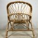 Chair rattan peacock