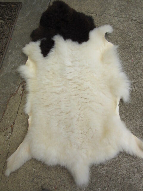 Sheepskin