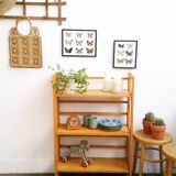 Bookcase vintage library/bookseller complaint