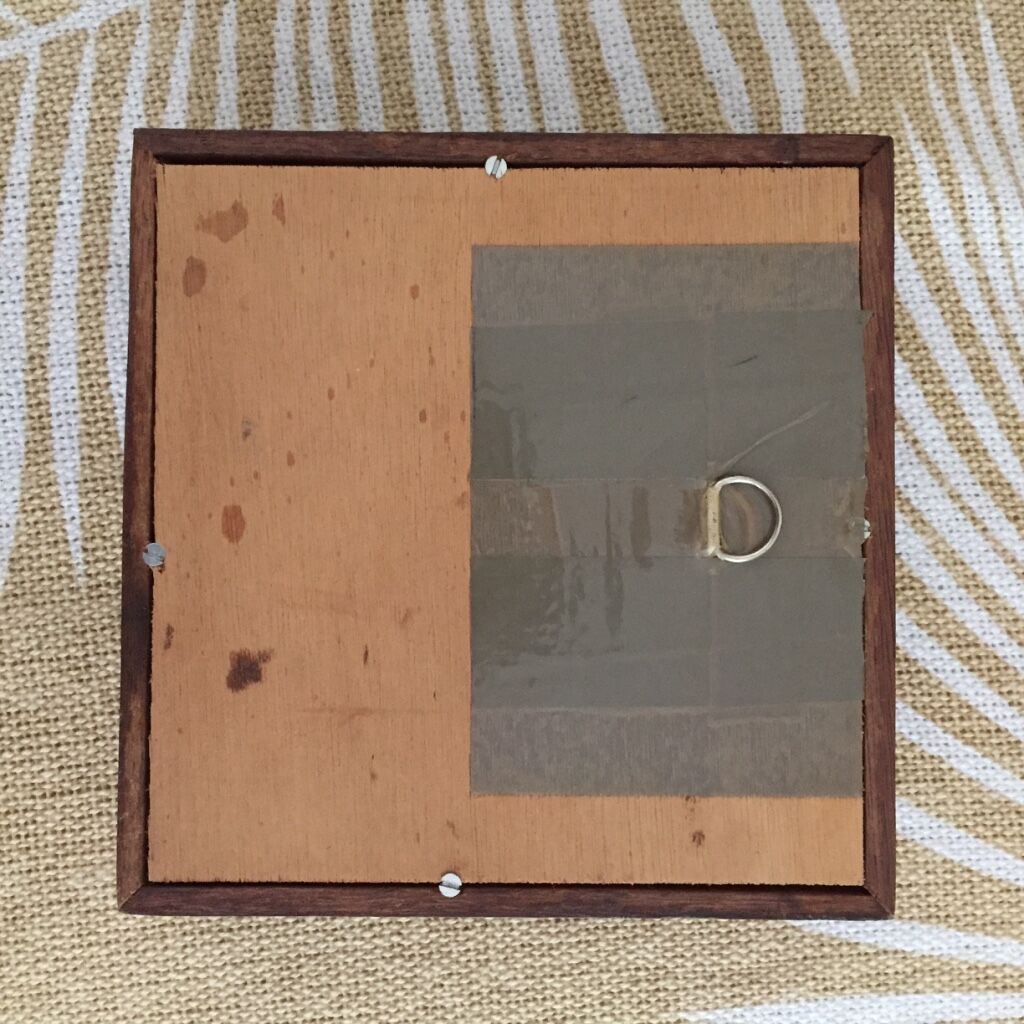 Blue butterfly framed Morpho menelaus Guyana curiosity cabinet