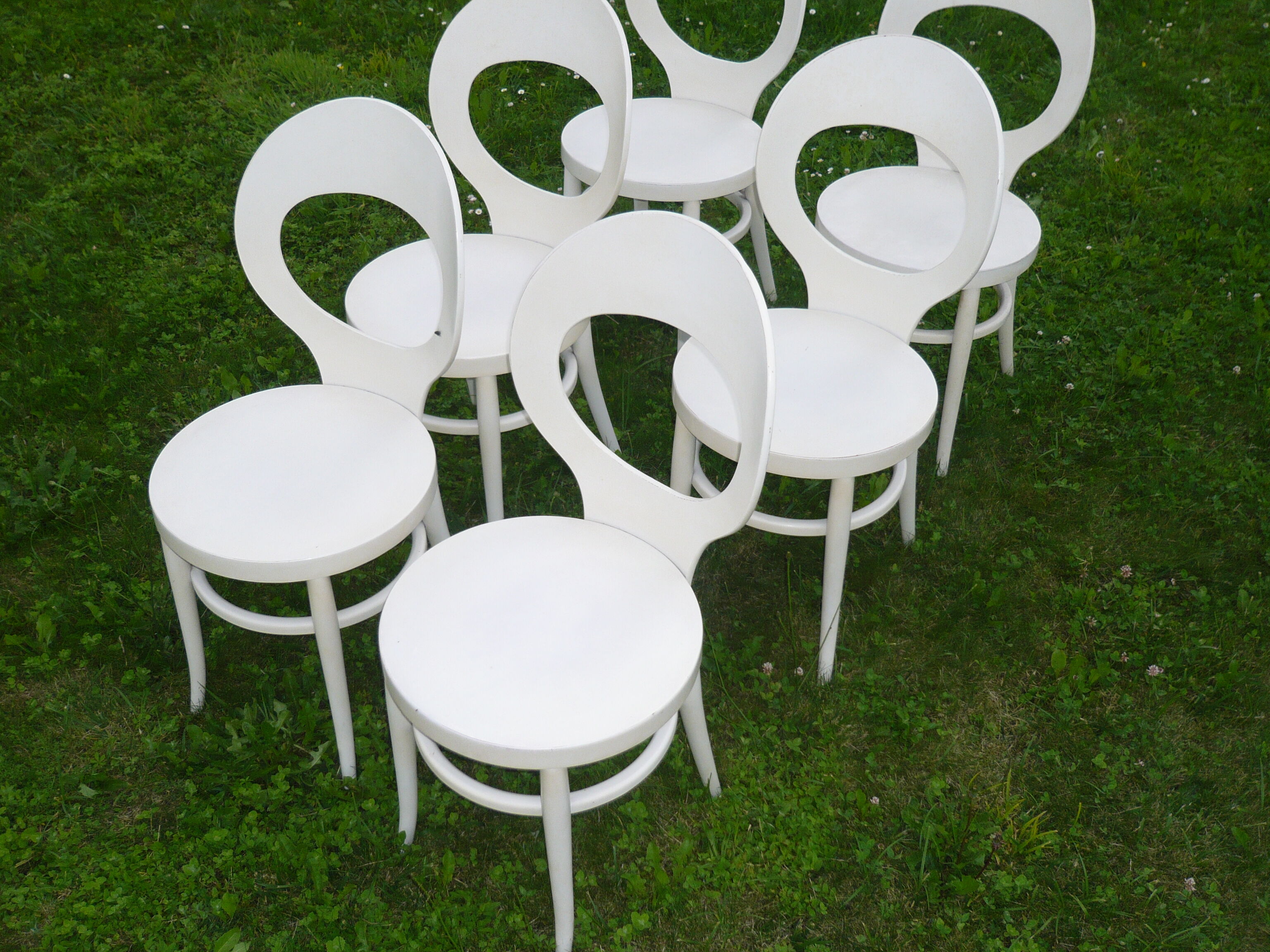 Baumann chairs model seagull