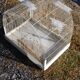 Vintage aviary, foot cage on wheels 147x67x49cm.