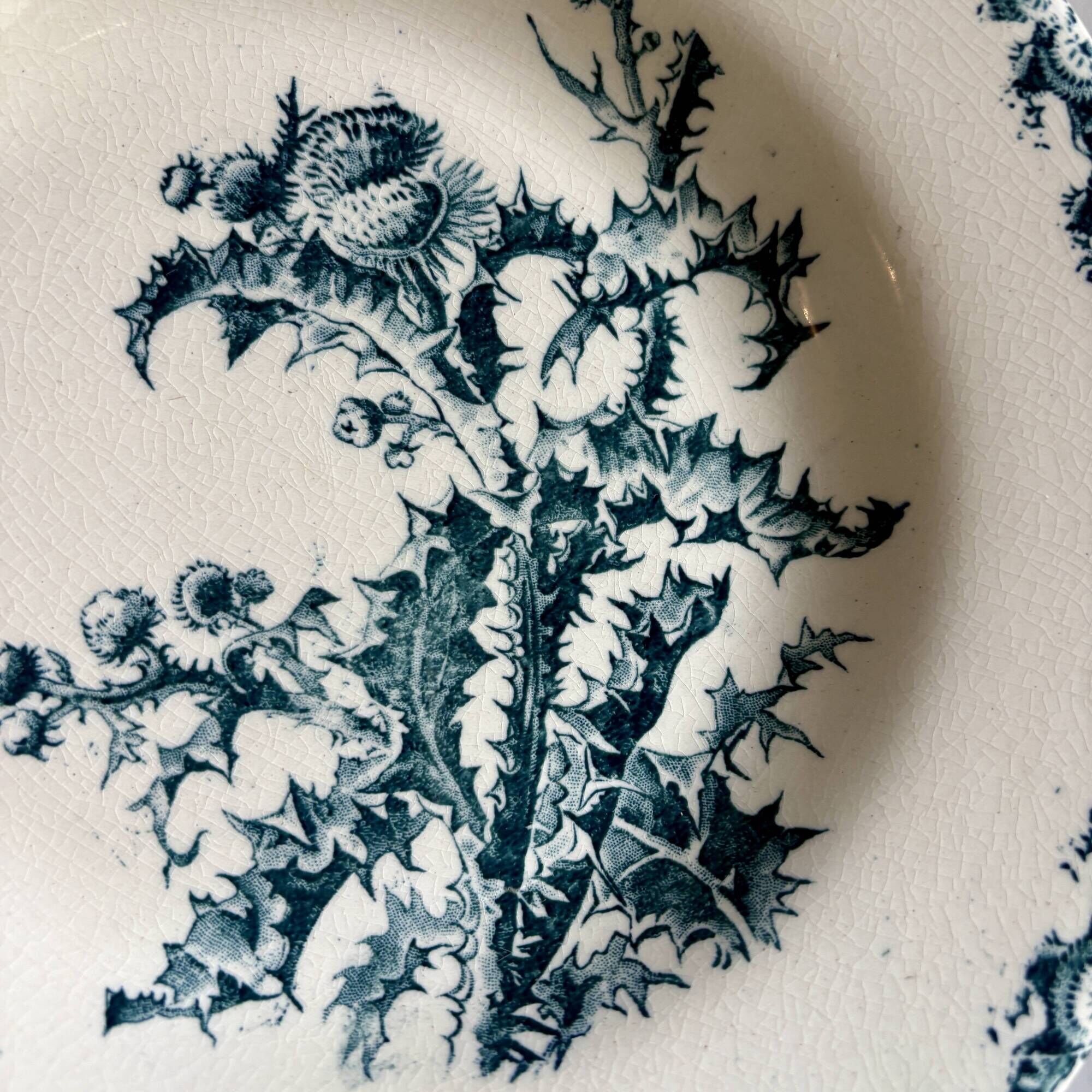 Set of 8 antique deep plates in ironstone, Chardons de Gien