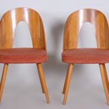 Pair of Mid Century chairs made in 1950s Czechia, designed by Antonín Šuman