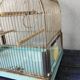 Vintage birdcage