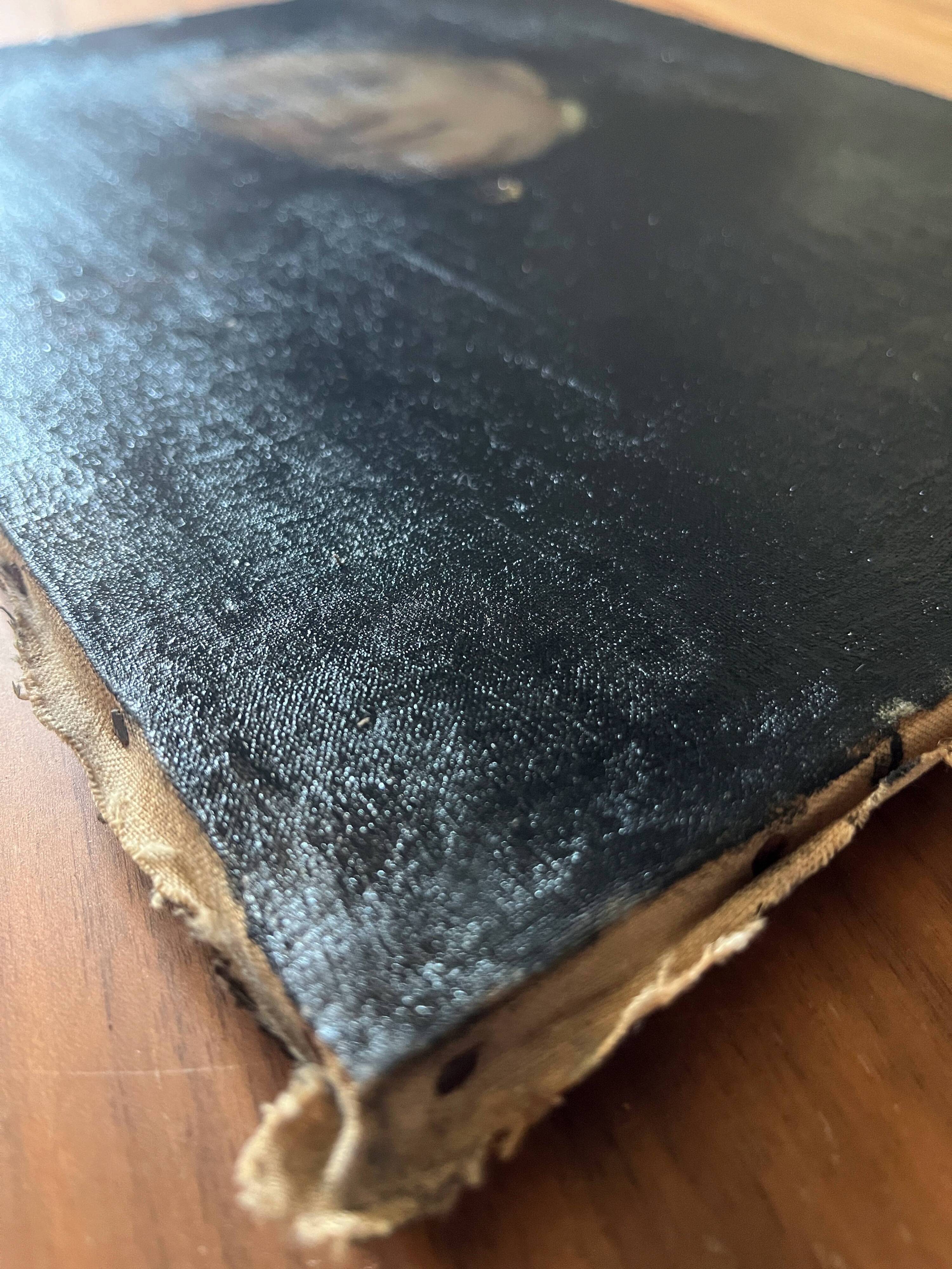 HST painting "Family Portrait" by Oswald Marie 1886