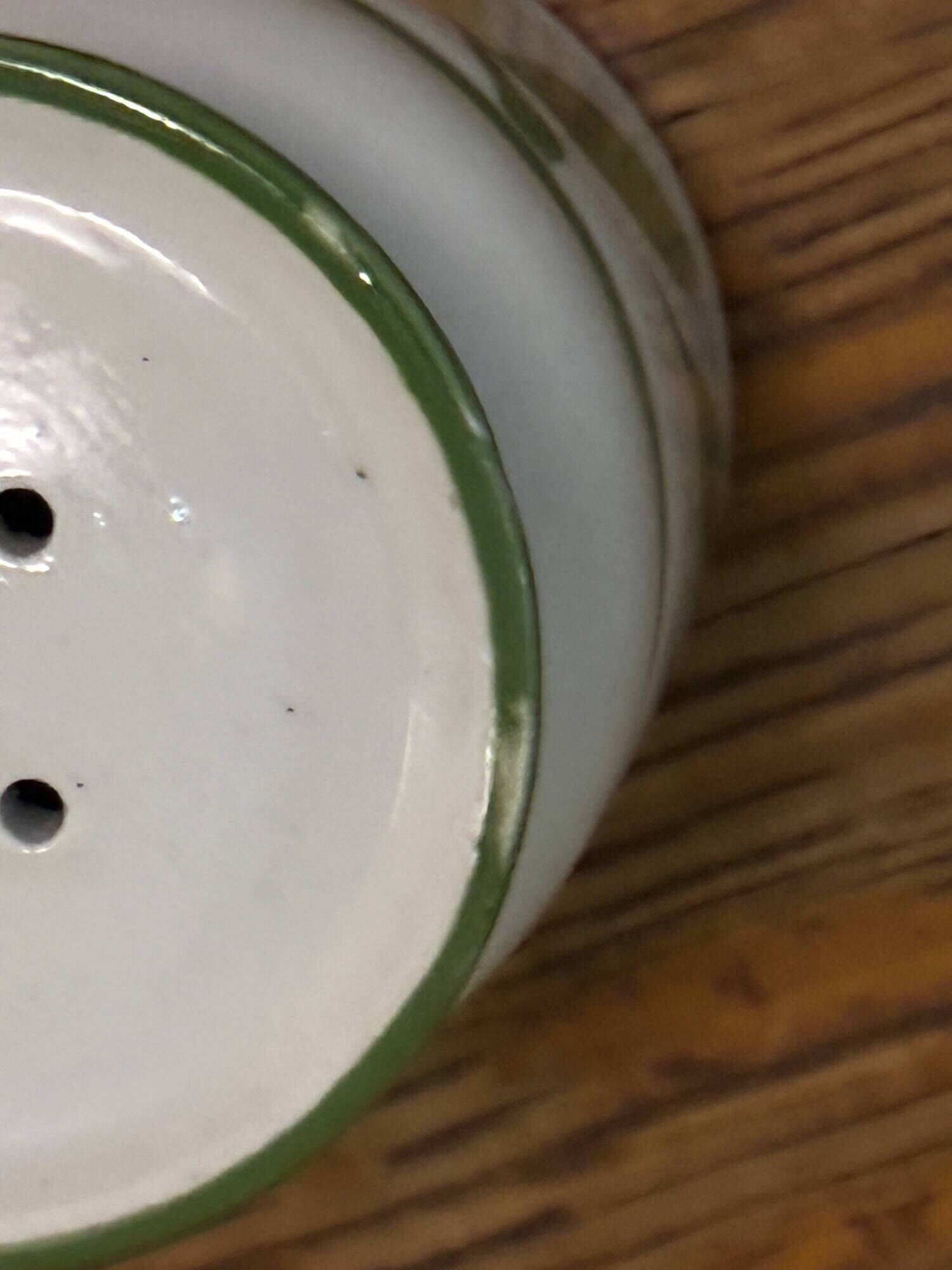 Vintage Lbp salt and pepper shaker set in ceramic – Lemon pattern – new