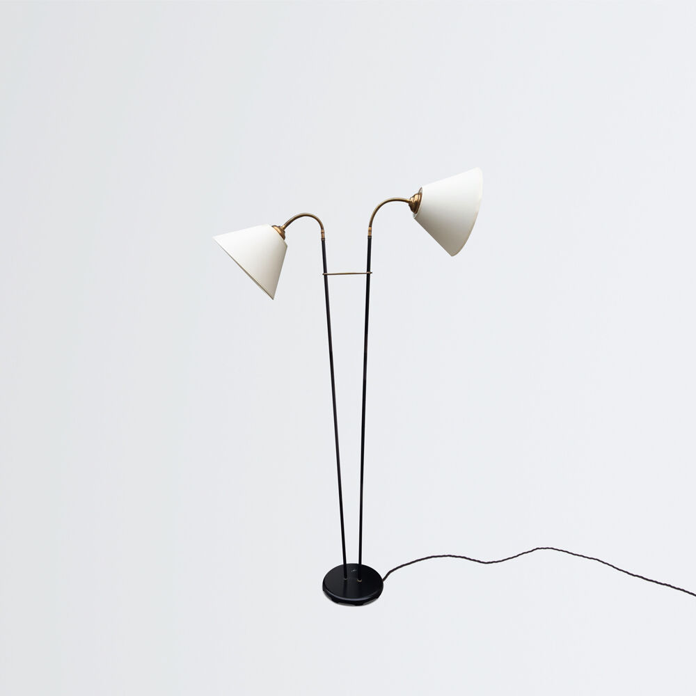 Floor lamp with two shades