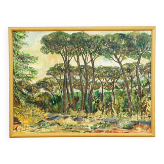 Oil painting by Alexander Michael of a pine forest near Ostia, Italy 1973