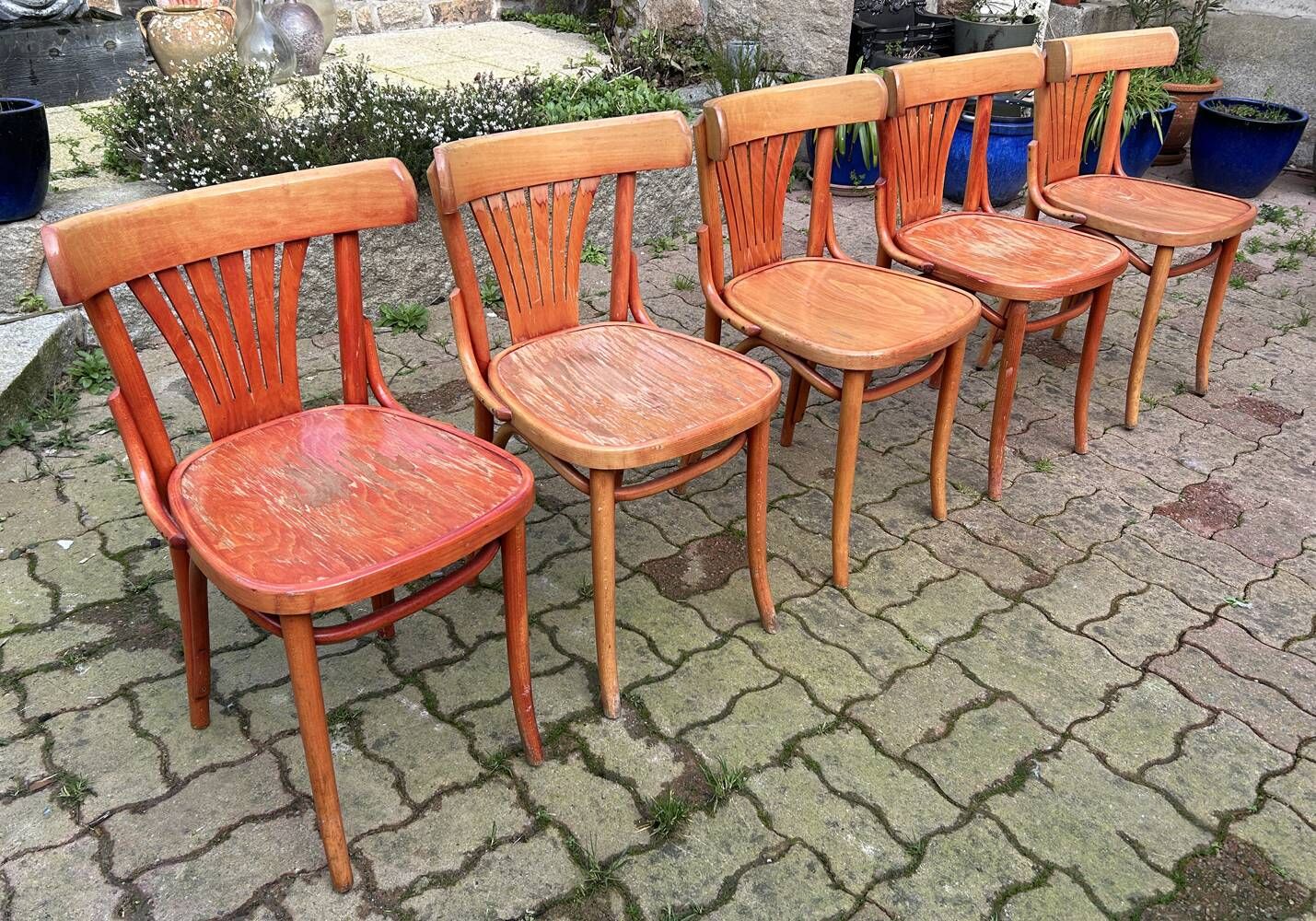 Set of 5 brasserie, bistro chairs, in their original condition, vintage, 1960s