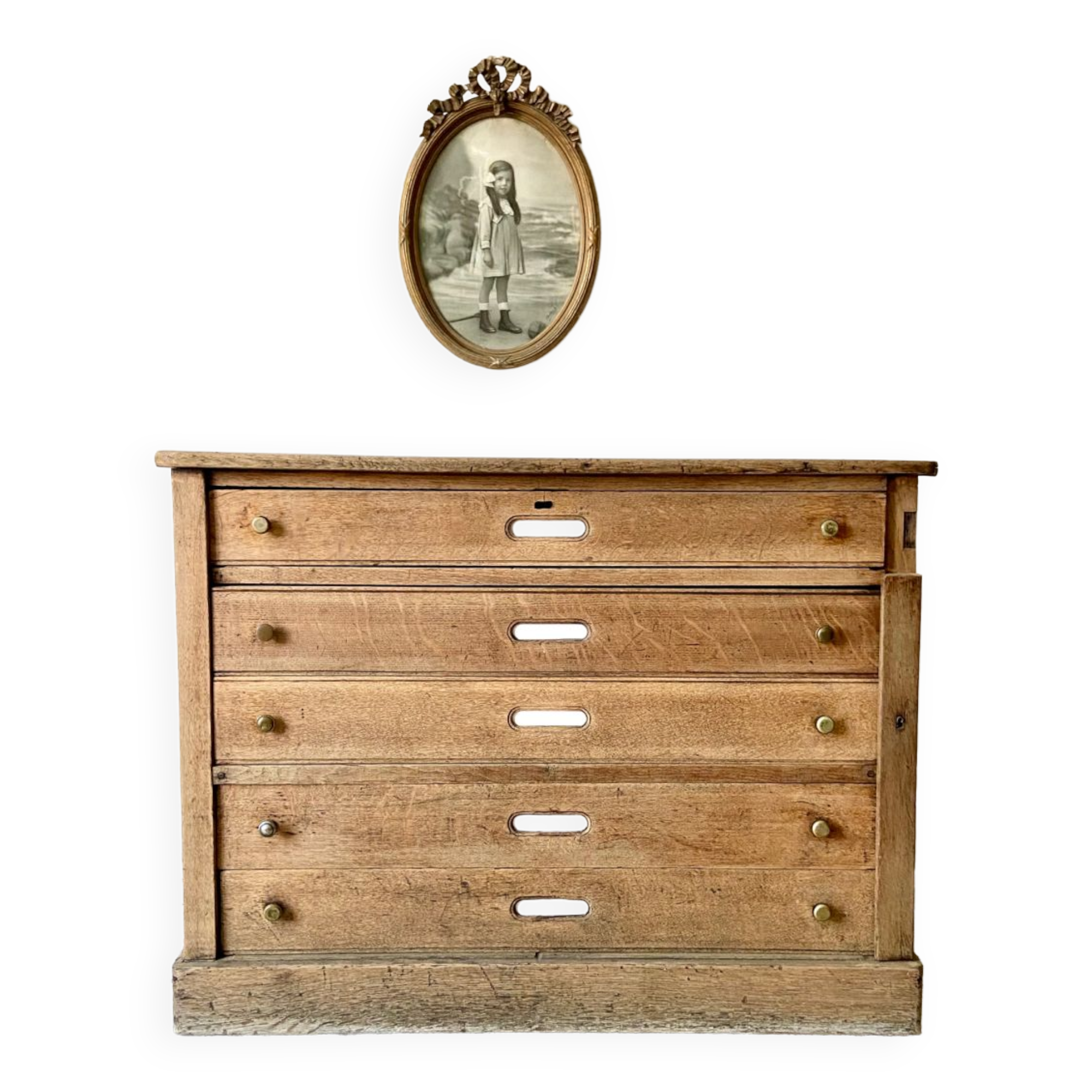 Oak professional furniture - Chest of drawers