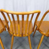 Antonin Suman for TON Dining Chairs, 1960s, Set of Four
