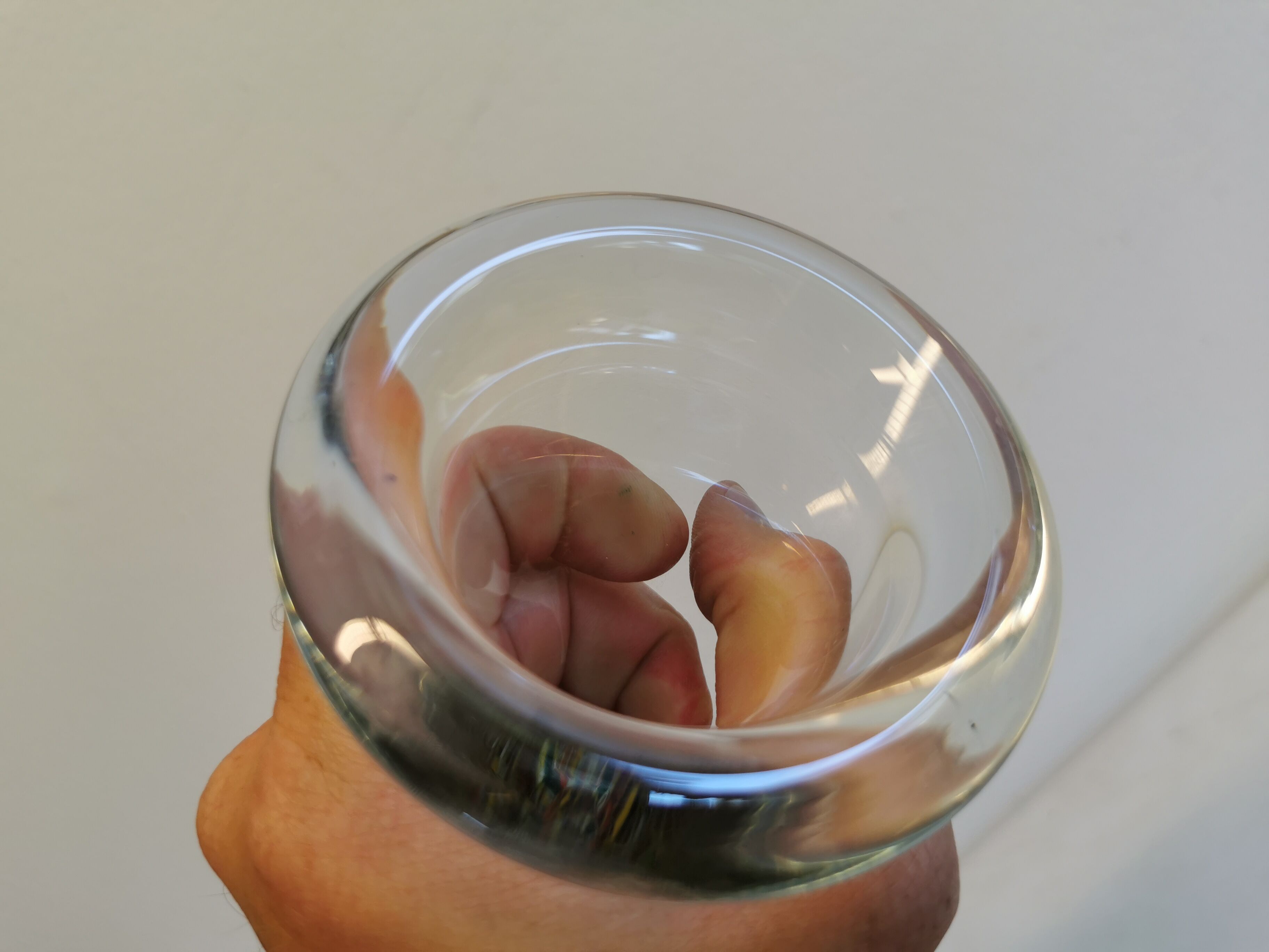 Bone vase from danish holmegaard glassworks