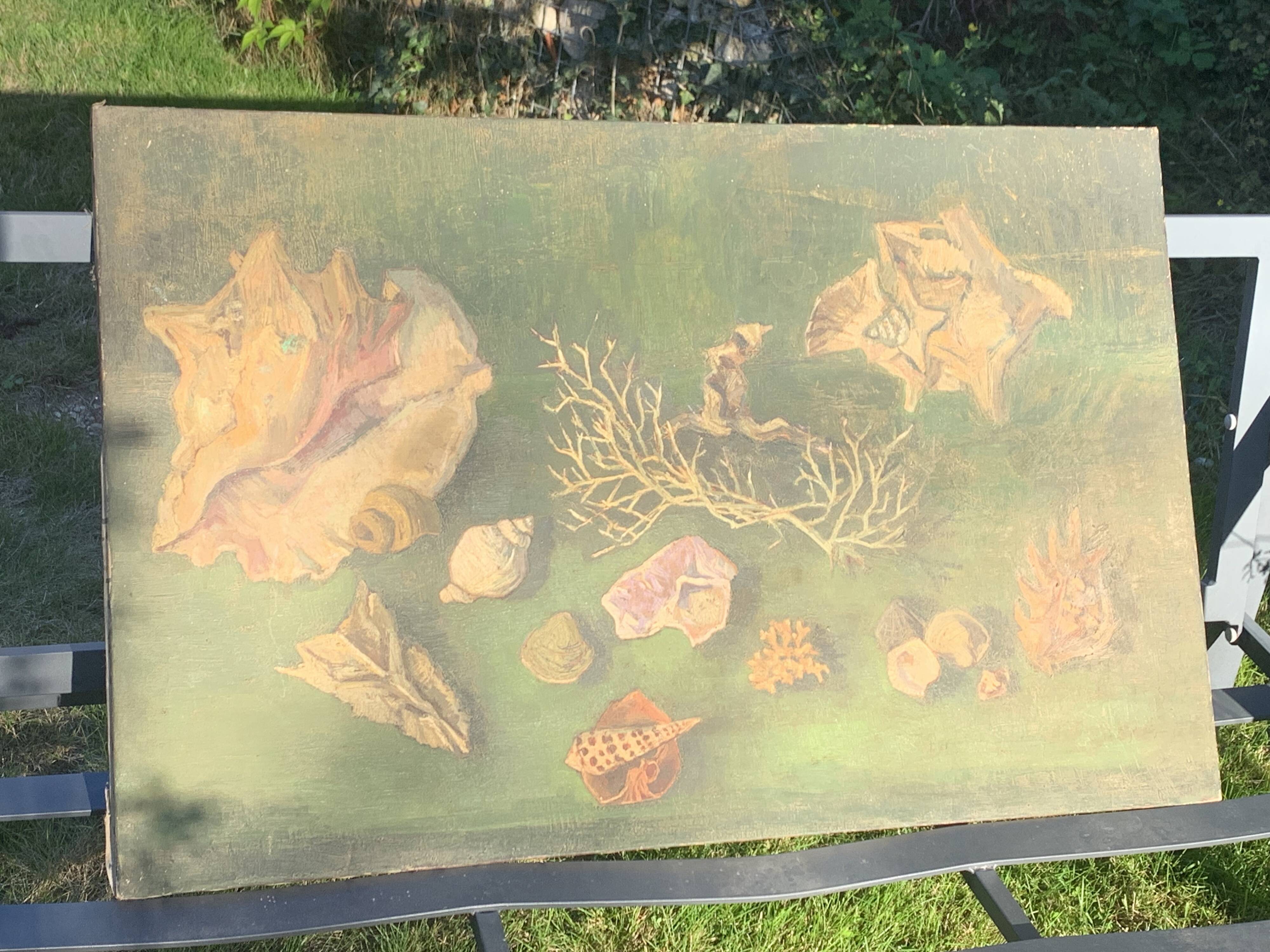 Large painting of shells, cabinet of curiosities, sign, vintage