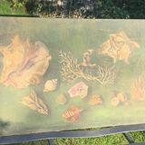 Large painting of shells, cabinet of curiosities, sign, vintage