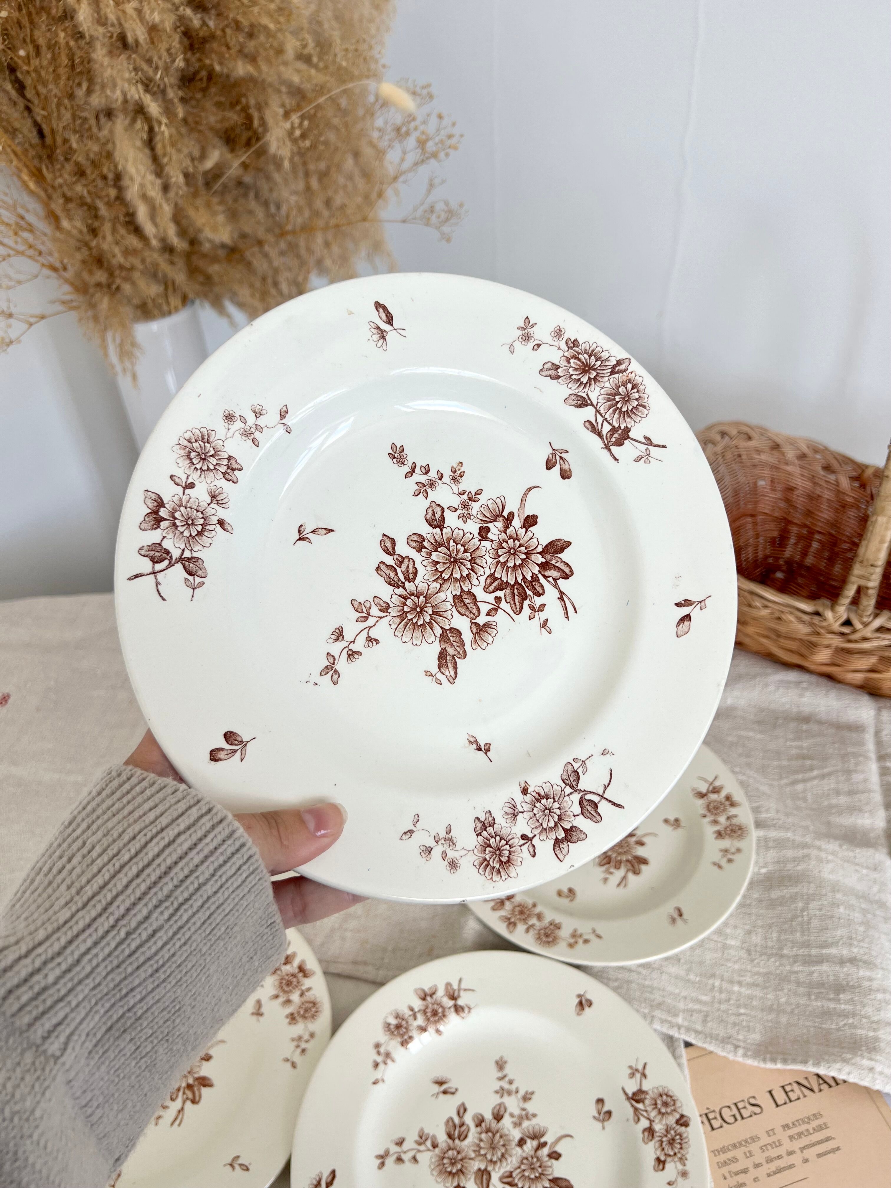 Set of 5 flat plates iron earth K&G Lunéville