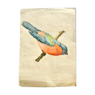 Large old watercolor depicting a blue red and green bird on a branch