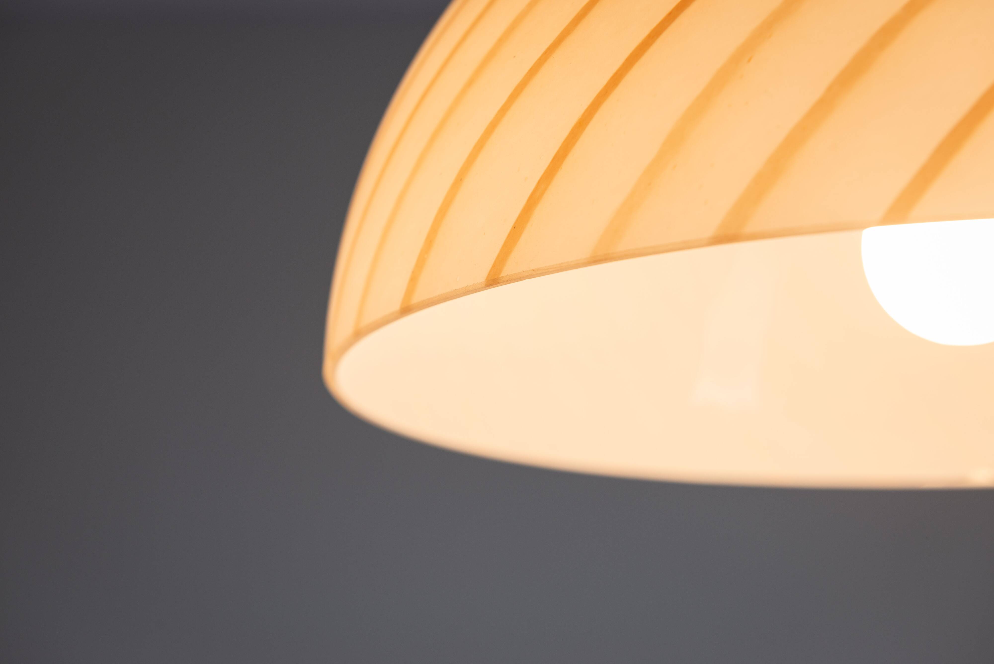 Ceiling lamp with Murano glass shade