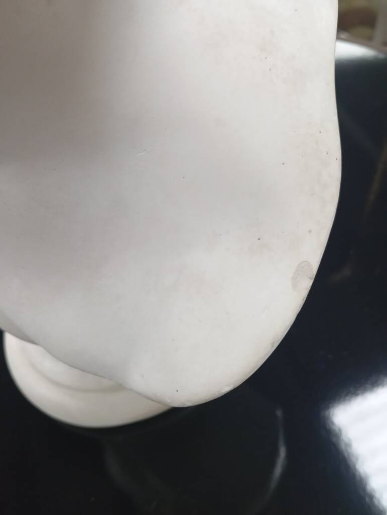 Bust of Eros, cast from the Louvre early 20th century.