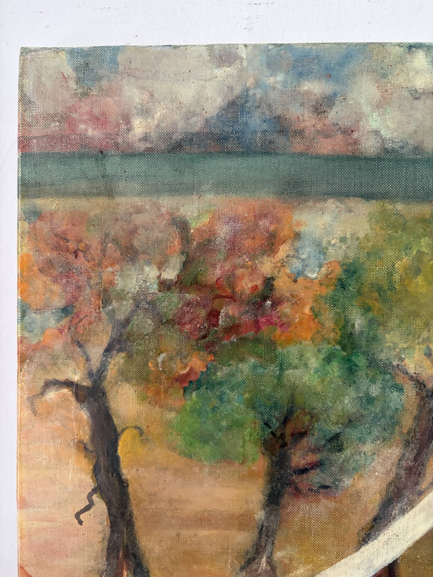 The orchard,