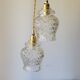 Duo of molded glass pendant lights