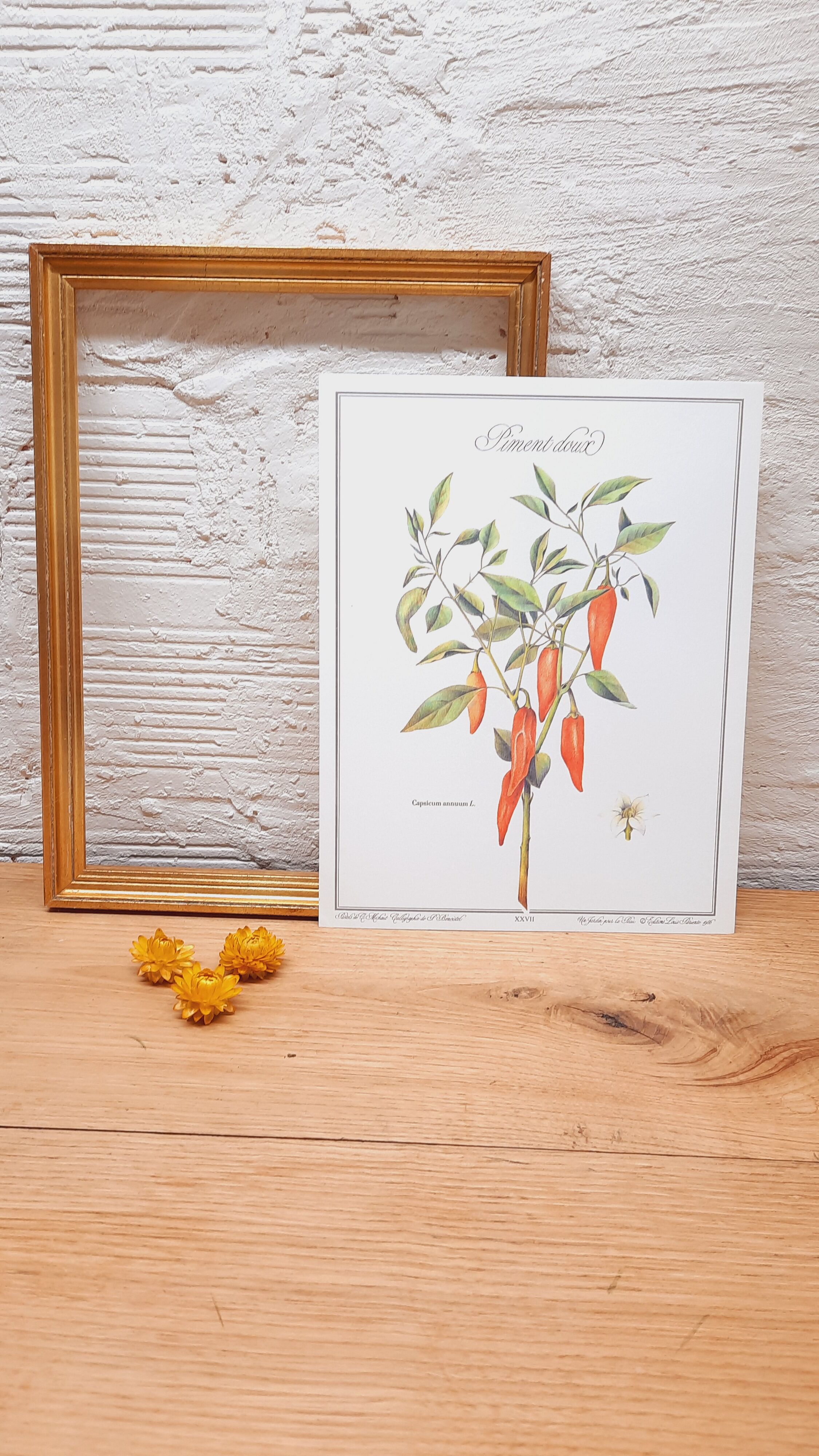 Botanical plank Sweet pepper