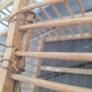 Old wooden bird transport cage