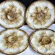Set of 2 Longchamp oyster plates, vintage shellfish plates.