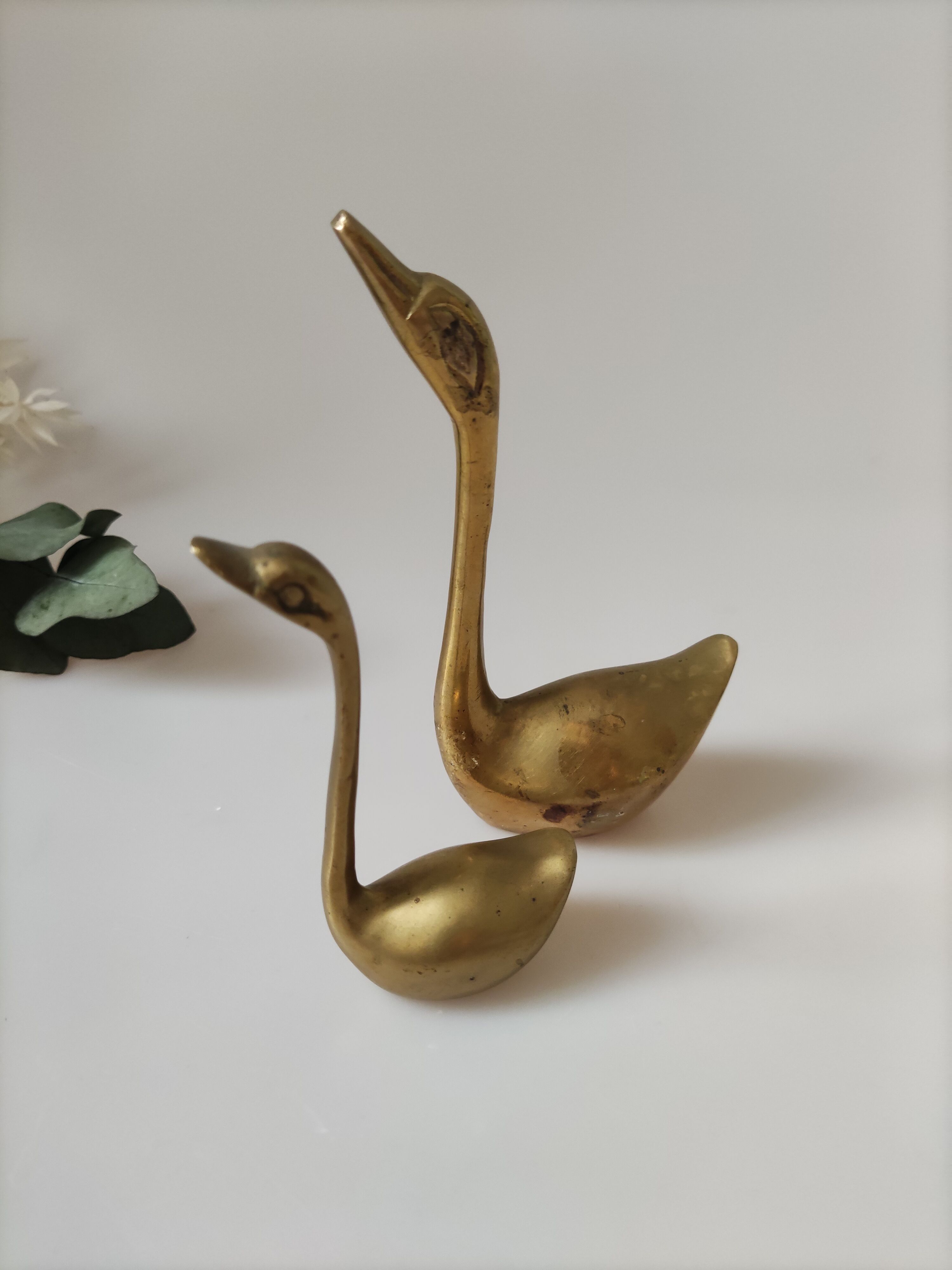 Golden brass swan duo