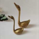 Golden brass swan duo