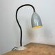 Grey Industrial Gooseneck Table Lamp from Philips, 1960s