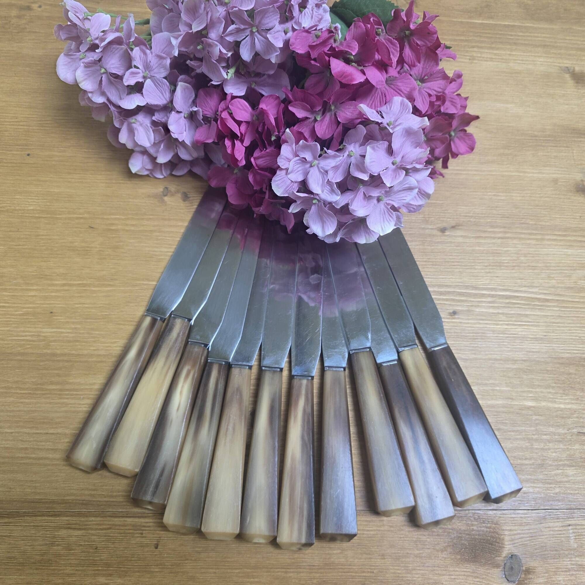 12 large knives Pajot Reims