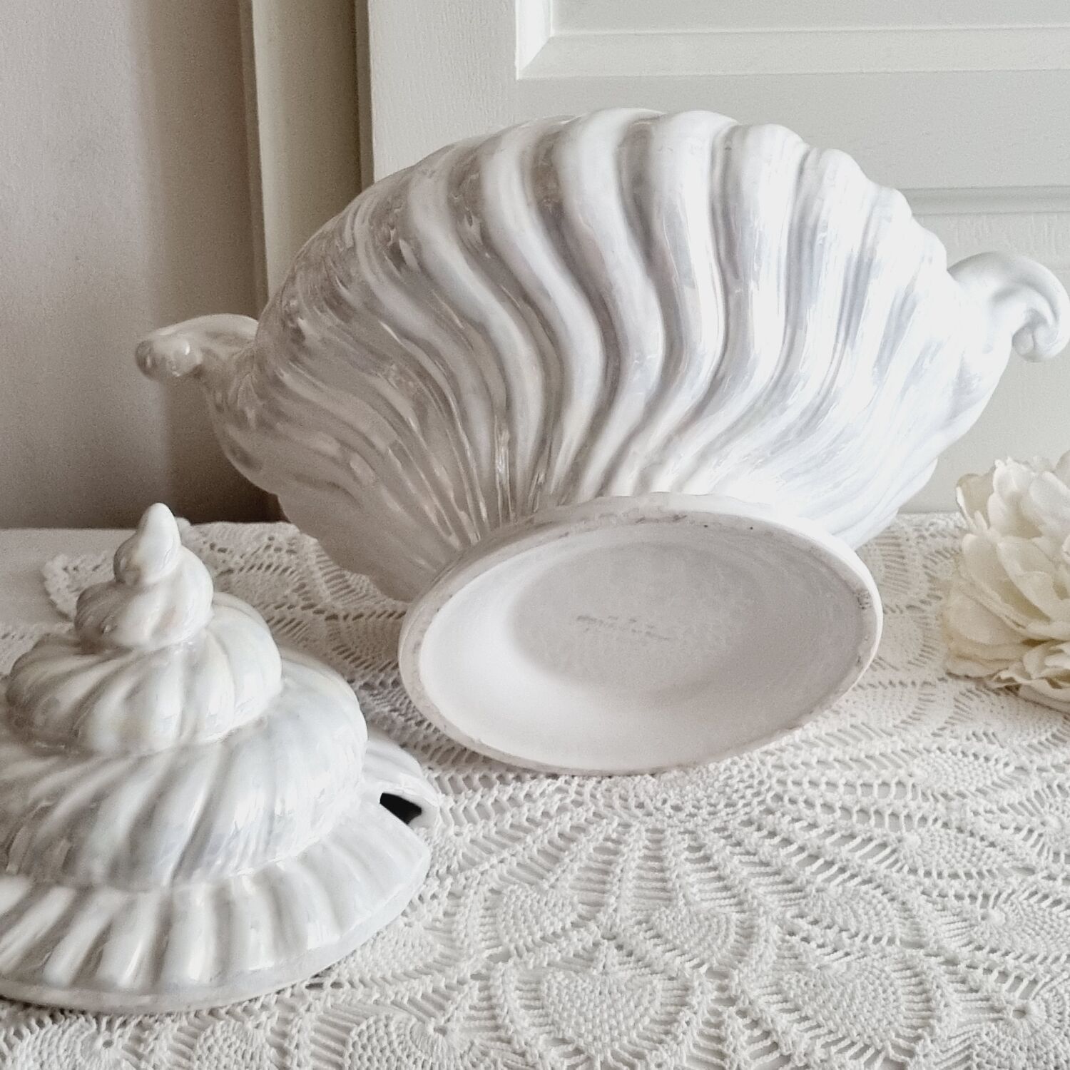 Shell tureen in slurry Portugal