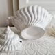Shell tureen in slurry Portugal