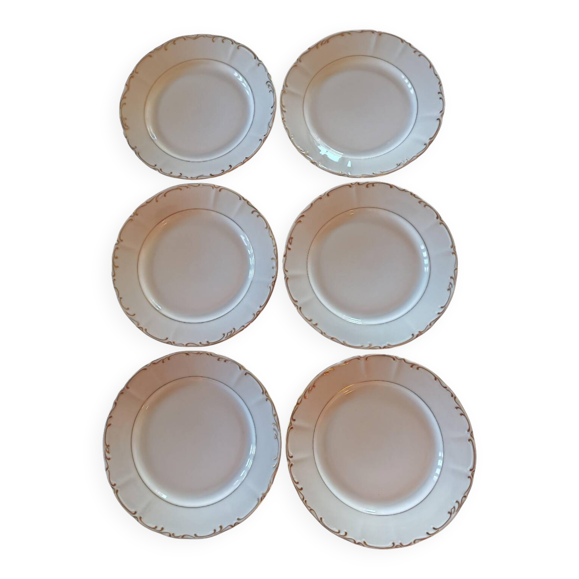 Porcelain dinner plates