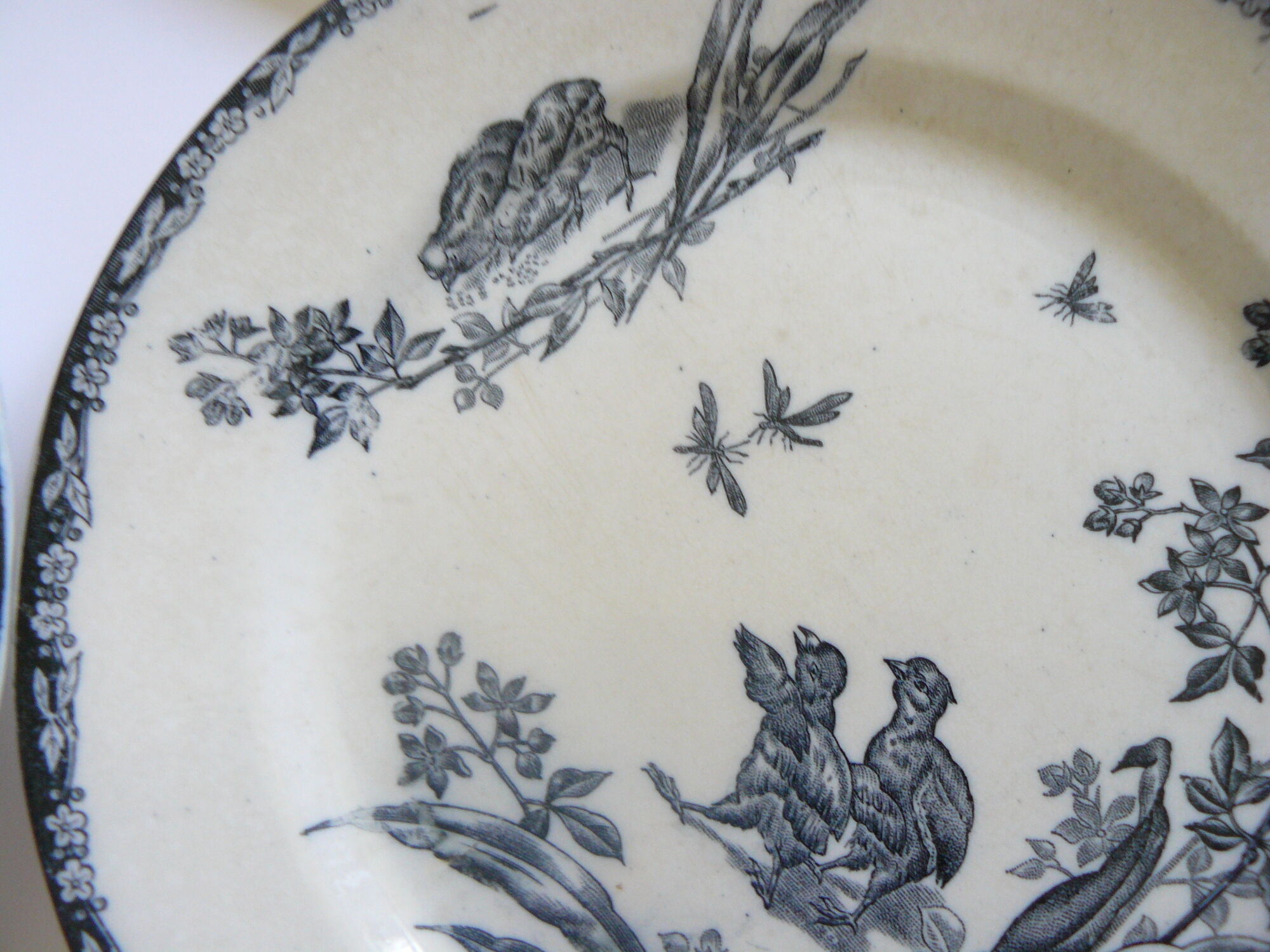Lot of 4 plates flat land of iron Lunéville model chick