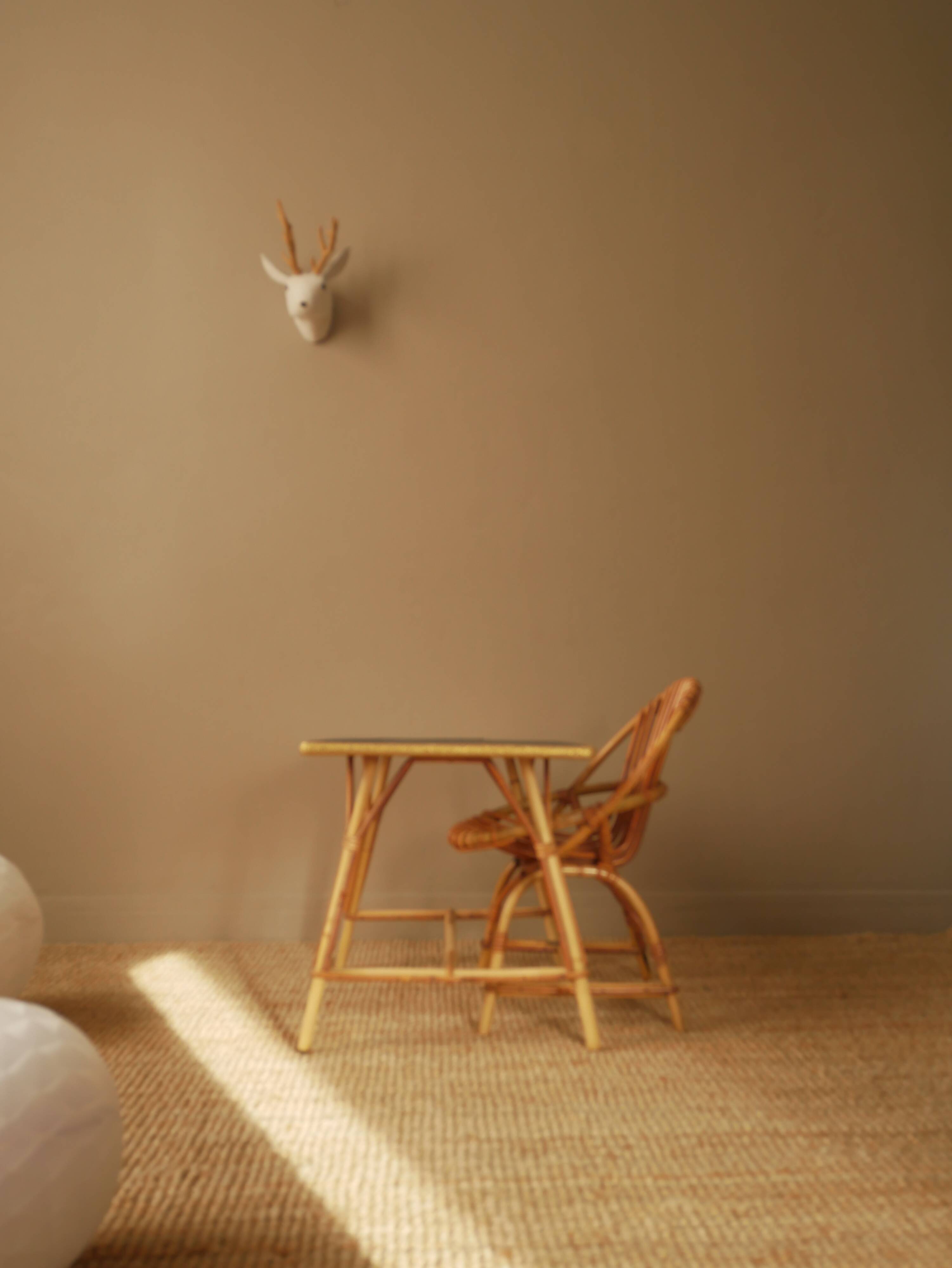 Rattan desk and chair set