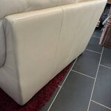 Natuzzi sofa