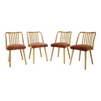 1960s Antonin Suman Beech Dining Chairs, Set of 4