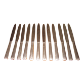 12 silver metal knives