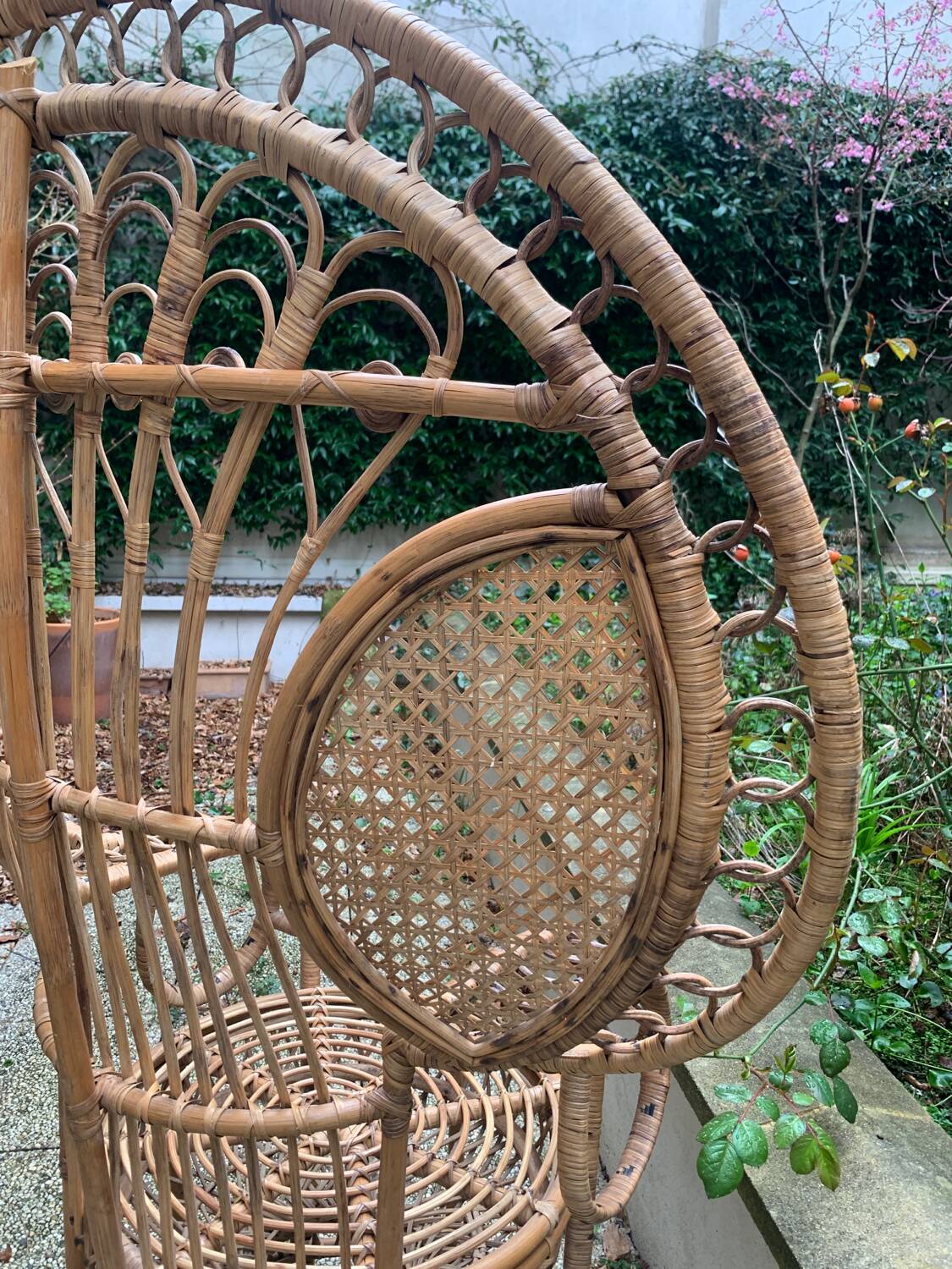 Peacock rattan armchair