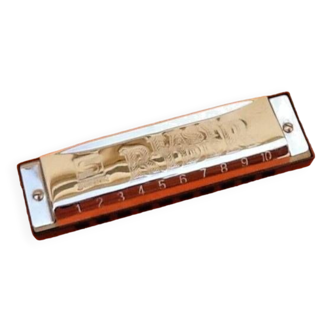 Suzuki Easy Rider 10-hole harmonica