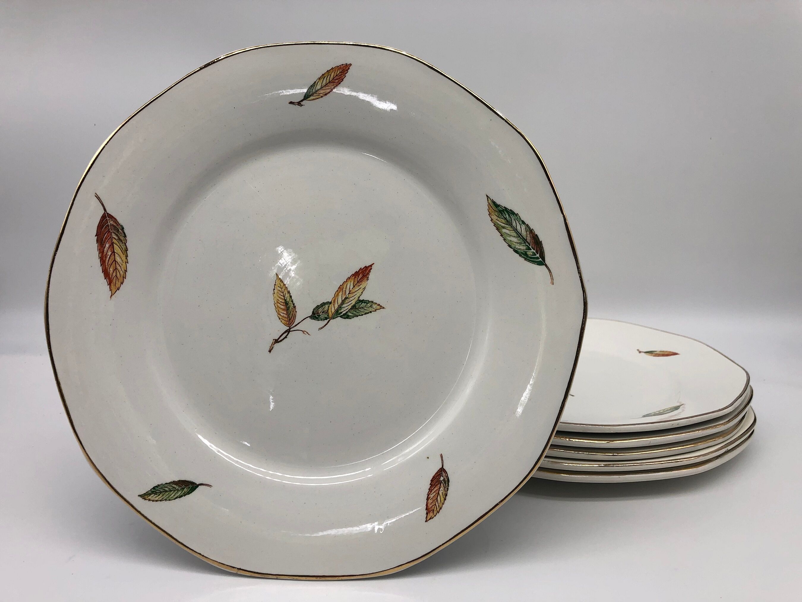 Set of 6 flat plates "Digoin Sarreguemines / Nemours model"