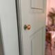 Solid wood cupboard