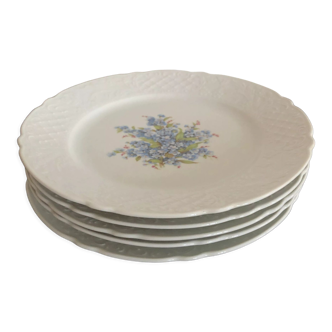 5 assiettes plates