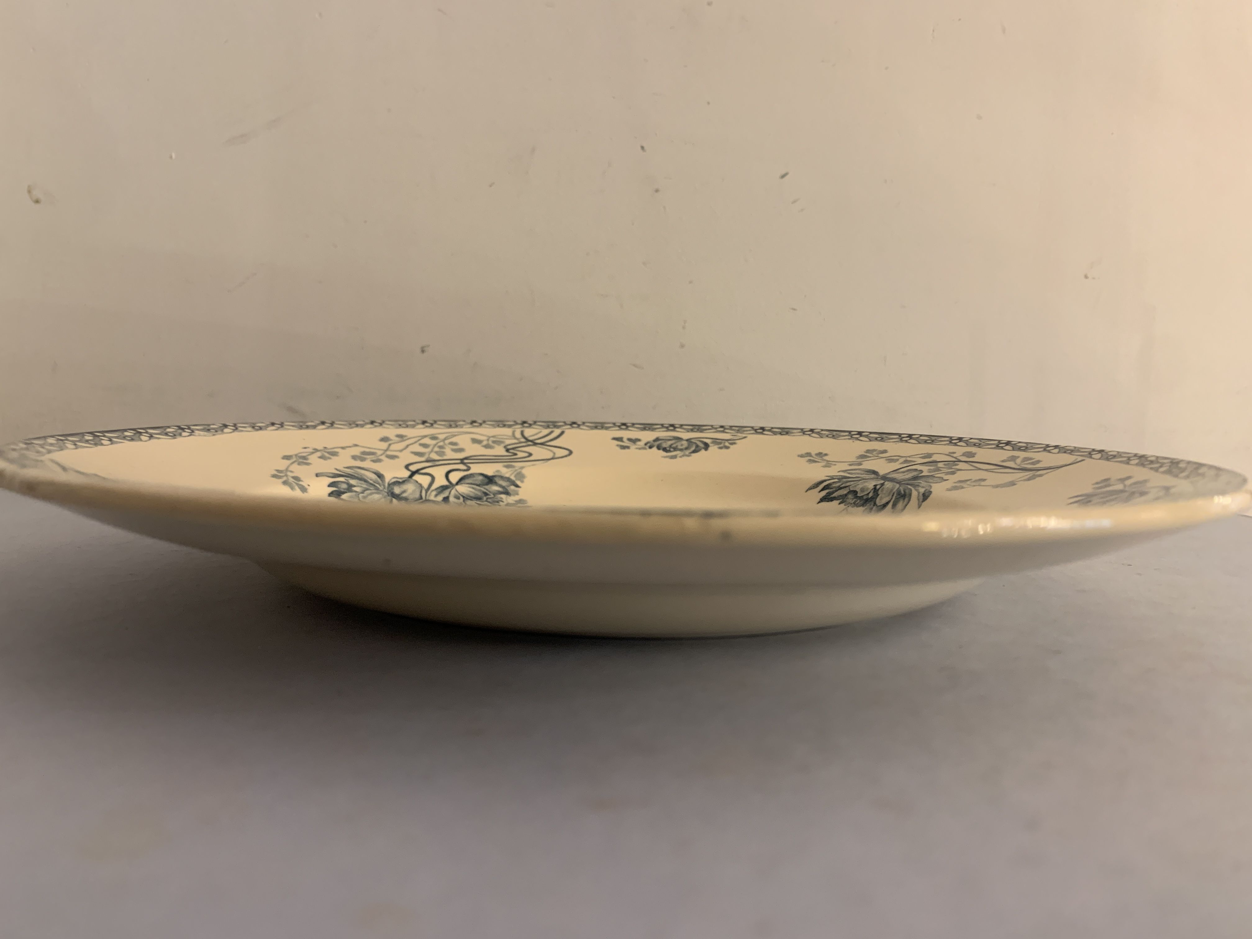 12 dessert plates and an art nouveau dish Royat de Sarreguemines
